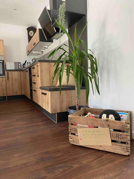 Gemuetliche Wohnung -Schwarzwald Neuweiler  Dış mekan fotoğraf